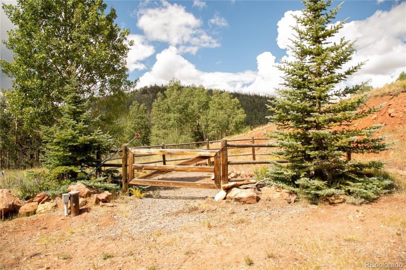 3601 Forest Road 504, Creede, CO 81130
