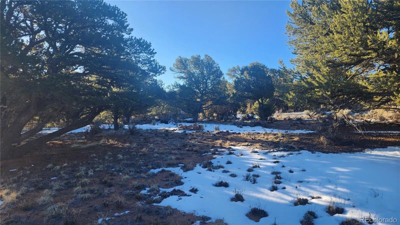 7806 Debreteuil Rd, Fort Garland, CO 81133