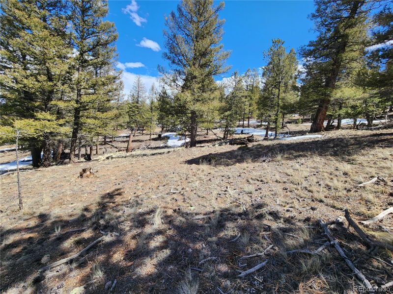 Hillcrest St, Hartsel, CO 80449