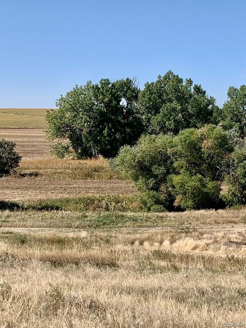 8959 Strasburg Rd, Strasburg, CO 80136