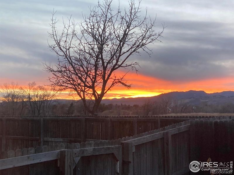 1018 Stonecrop Ct, Fort Collins, CO 80526