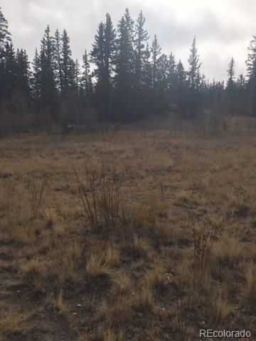 4645 Elkhorn Rd, Hartsel, CO 80449