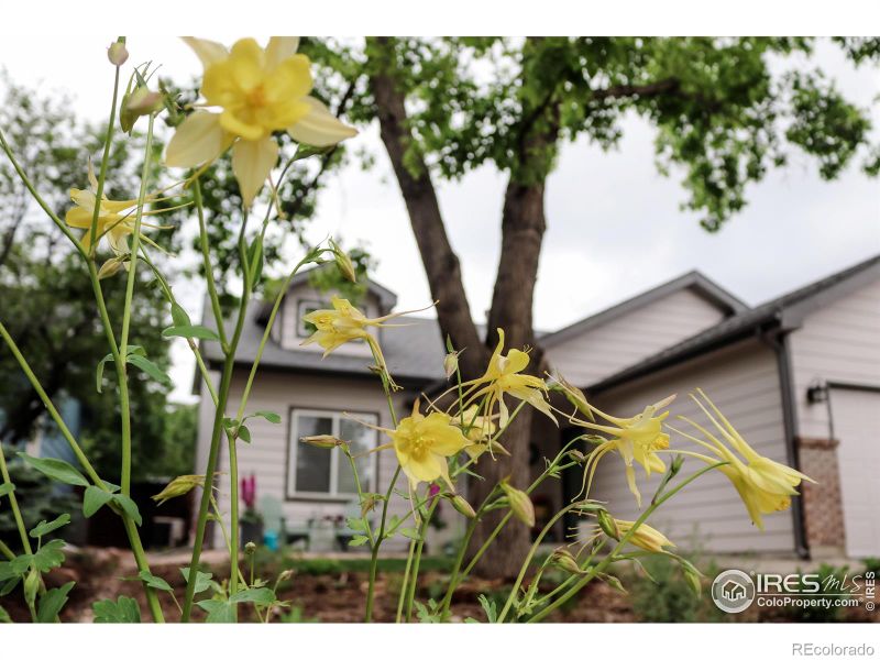 418 Walden Way, Fort Collins, CO 80526