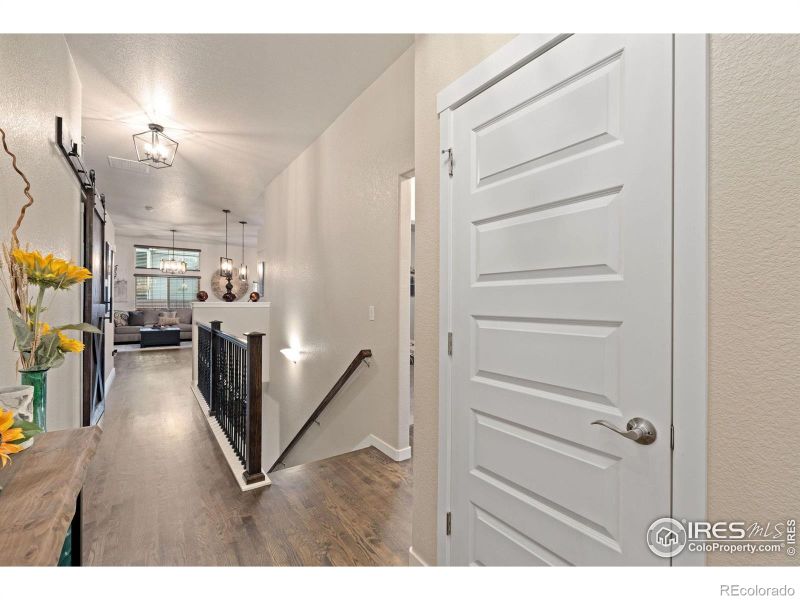 2179 Day Spring Dr, Windsor, CO 80550