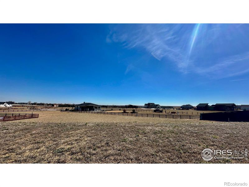 1983 Blossom Grove Ct, Windsor, CO 80550