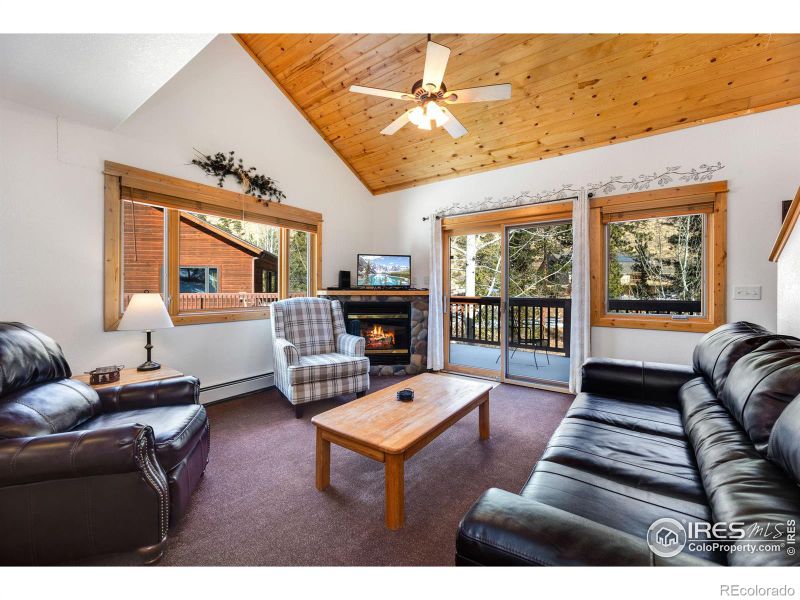 1516 Fish Hatchery Rd #7, Estes Park, CO 80517