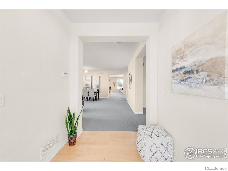 2807 Potosi Pl, Broomfield, CO 80023