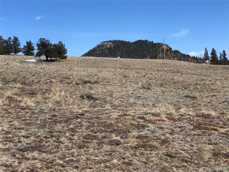 4854 Remington Rd, Como, CO 80432