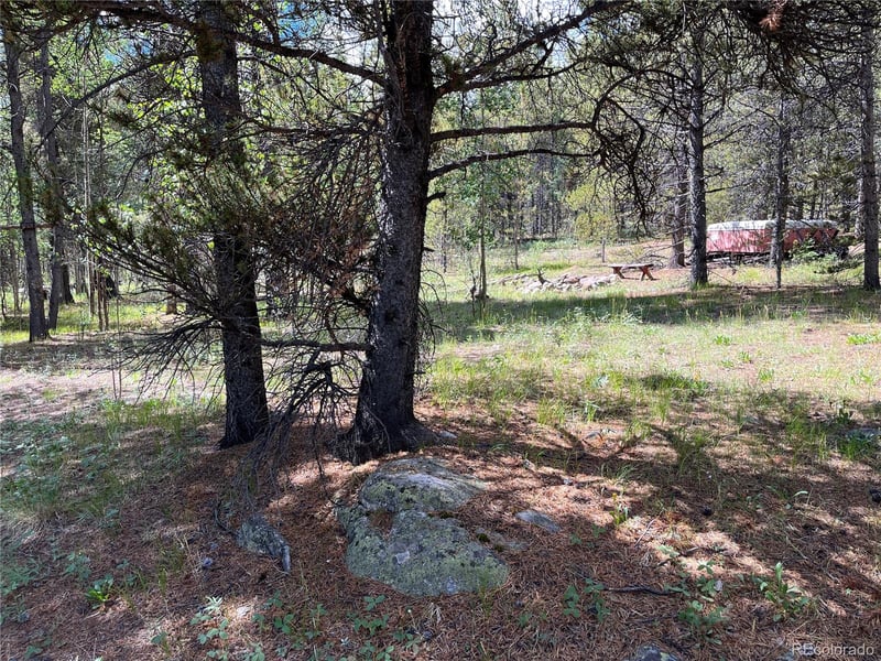 235 Ski Doo Rd Lot 8, Fairplay, CO 80440
