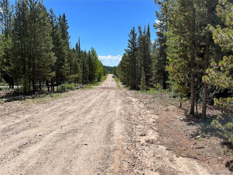 235 Ski Doo Rd Lot 8, Fairplay, CO 80440