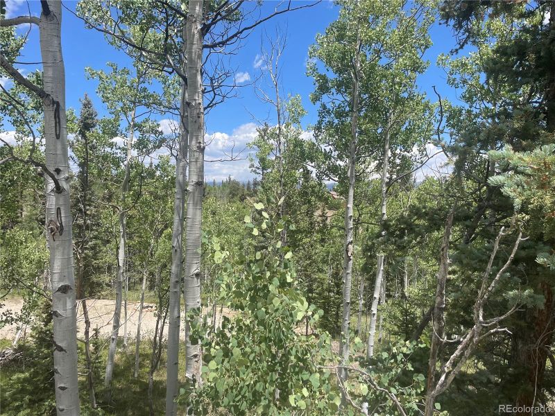 98 Tewa Way, Como, CO 80432