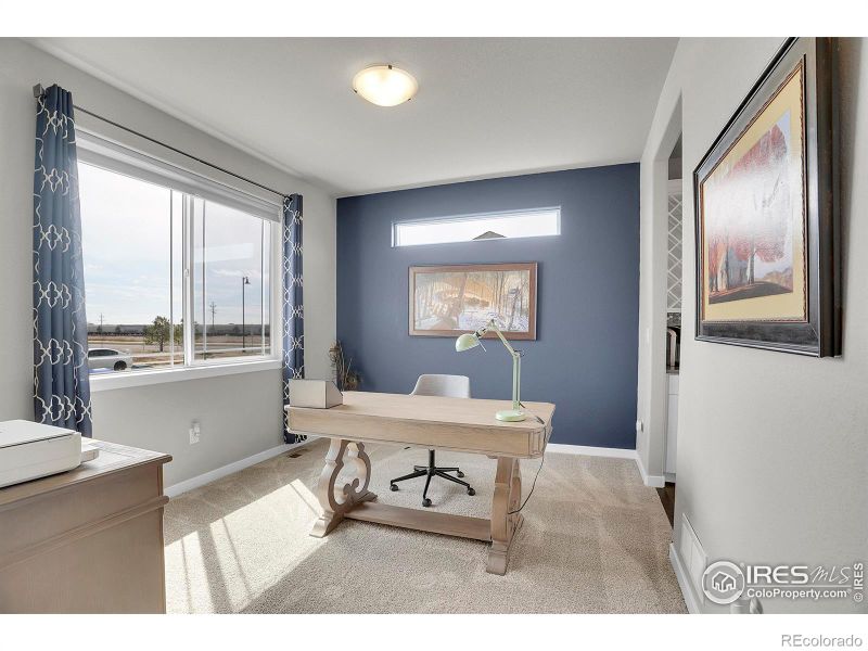 5511 Long Dr, Timnath, CO 80547