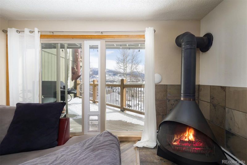 2403 Ryan Gulch Ct #107, Silverthorne, CO 80498