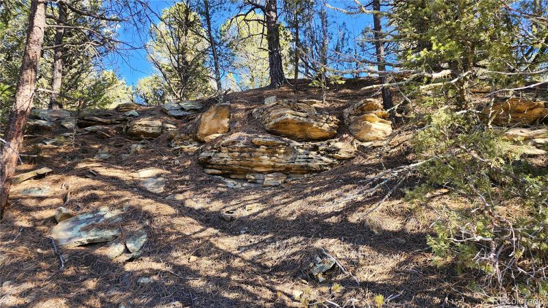 28970 County Road 16, Trinidad, CO 81082