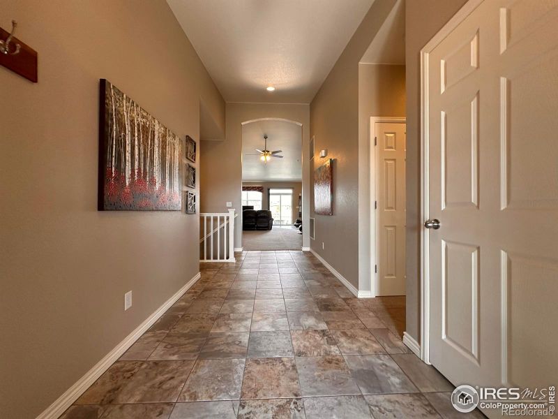 657 Clarendon Dr, Windsor, CO 80550