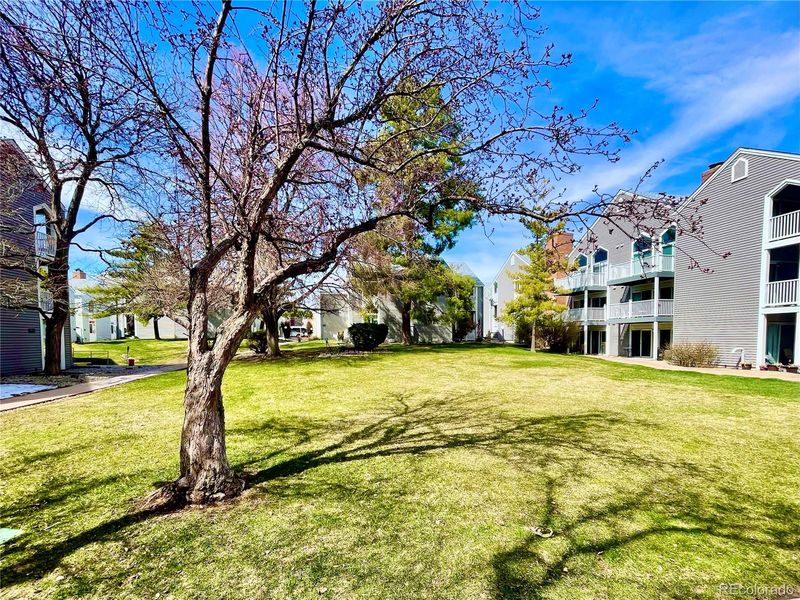 3420 S Locust St #C, Denver, CO 80222