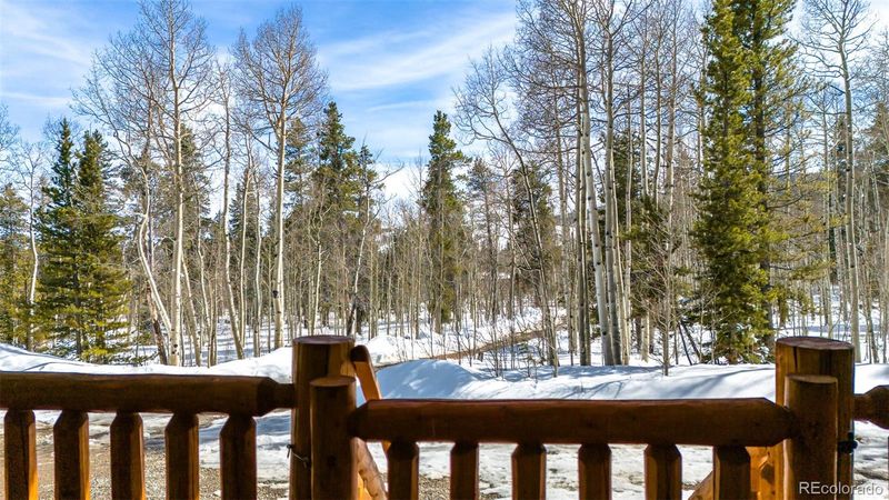 309 Lamb Mountain Rd, Fairplay, CO 80440