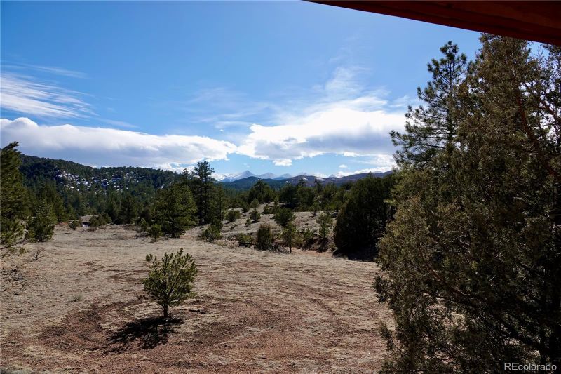 753 Duffy Loop, Cotopaxi, CO 81223