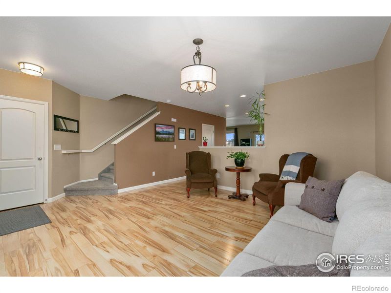 655 Clarendon Dr, Windsor, CO 80550