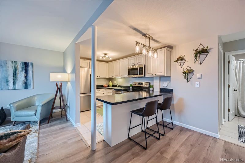 150 Evergreen Rd #105, Dillon, CO 80435