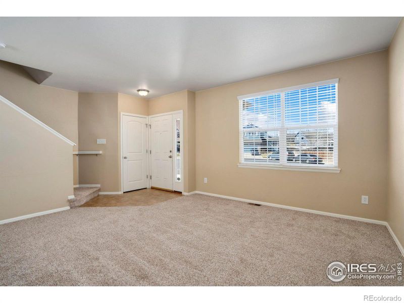1657 Chelmsford Ct, Windsor, CO 80550