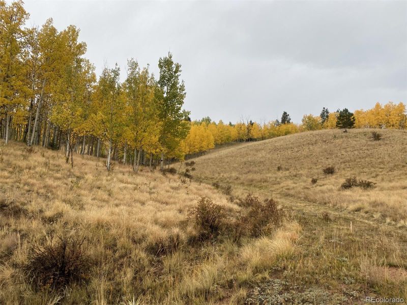 617 Yorktown Rd, Cripple Creek, CO 80813