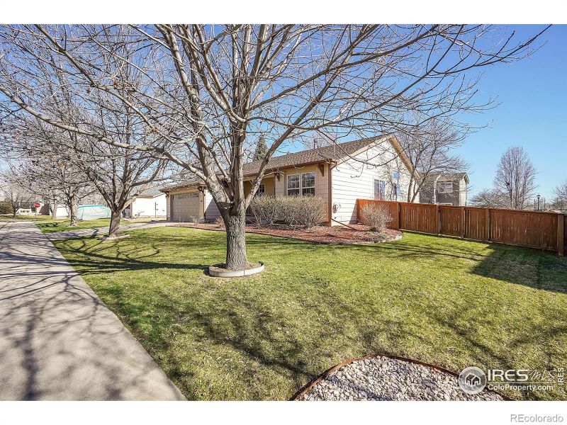 843 Serenity Ln, Longmont, CO 80504