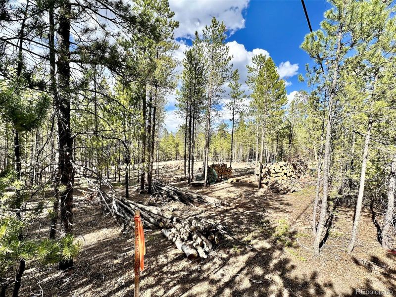 416 Hemlock Dr Lot 454, Twin Lakes, CO 81251