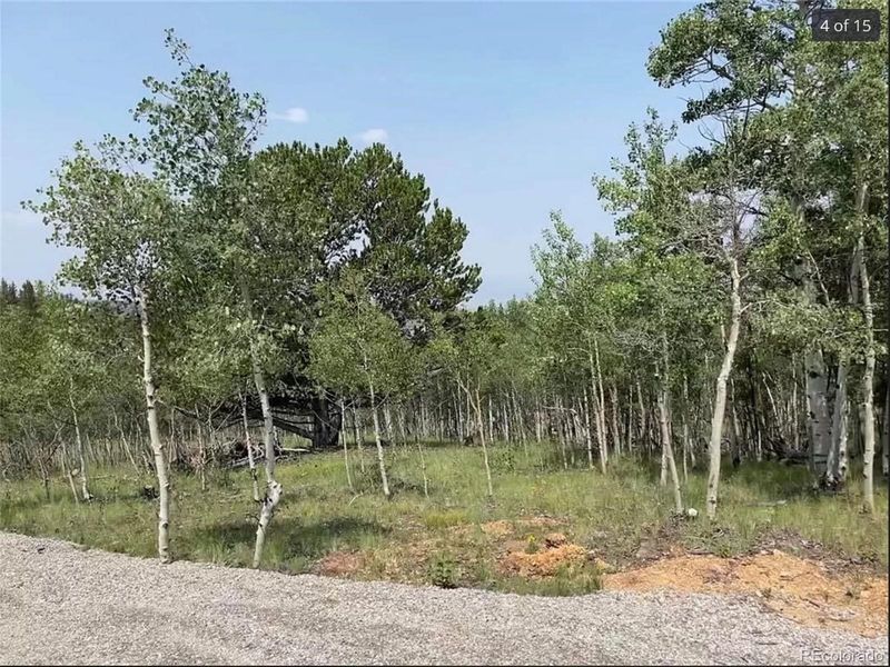 345 Thunder Ln, Como, CO 80432