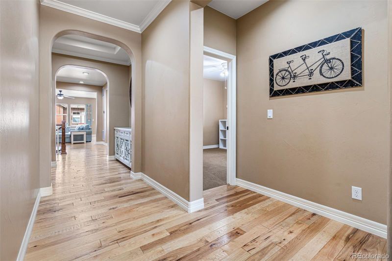 11405 Lovage Way, Parker, CO 80134