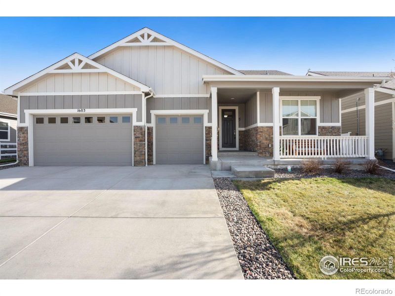 1603 Corby Dr, Windsor, CO 80550
