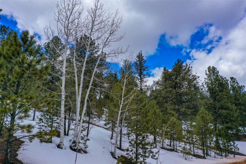 435 Vindicator Dr, Cripple Creek, CO 80813