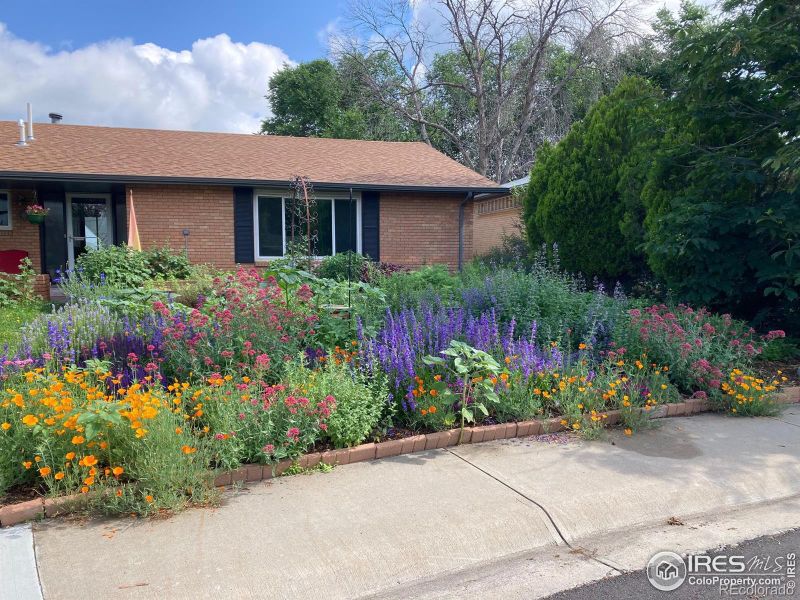 18 University Dr, Longmont, CO 80503