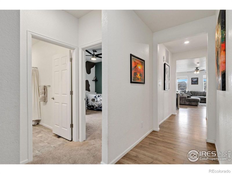 1669 Gratton Ct, Windsor, CO 80550