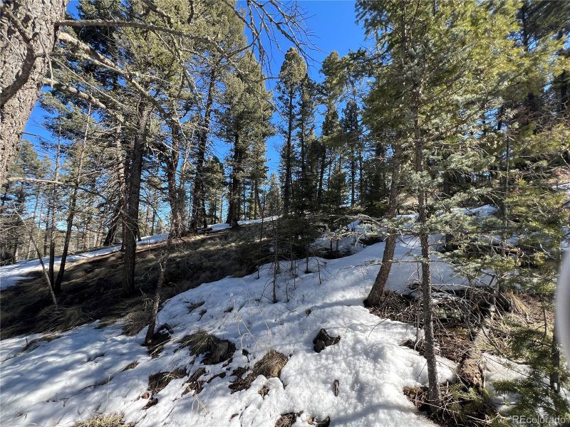 92 Nevada Ln, Florissant, CO 80816