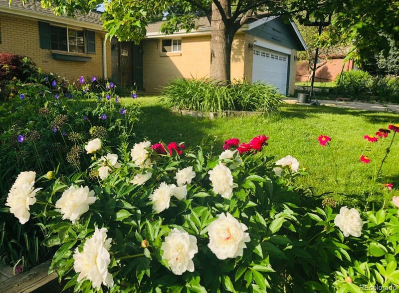 1042 Albion Rd, Boulder, CO 80305
