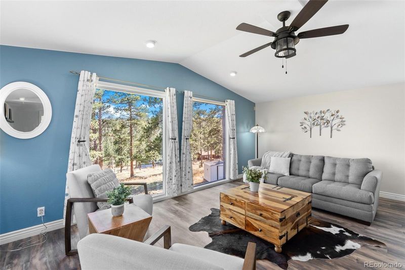 302 Conifer Dr, Bailey, CO 80421