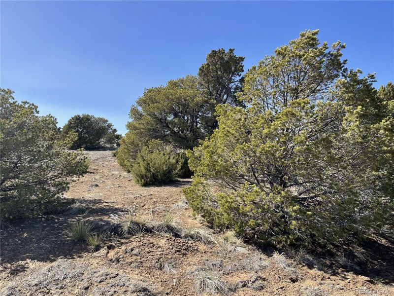 L329 P2 Sierra Verde Dr, Walsenburg, CO 81089