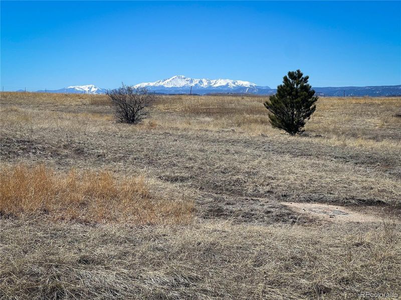 0 Polo Pony Cir Lot 21, Franktown, CO 80116