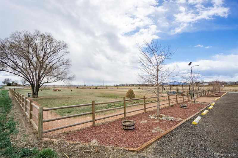 603 Harvest Moon Dr, Severance, CO 80550