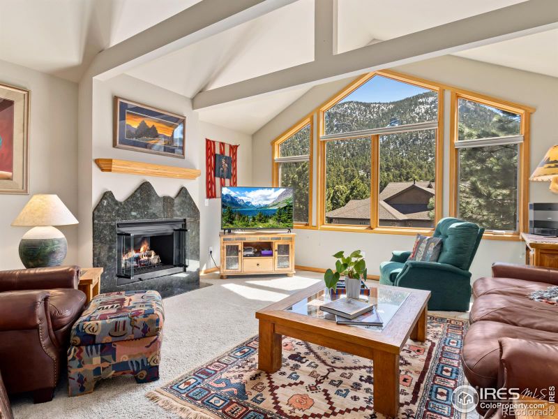 603 Park River Pl, Estes Park, CO 80517