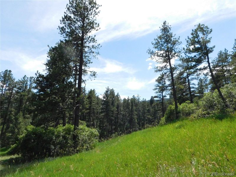 8482 Crow Pl, Larkspur, CO 80118