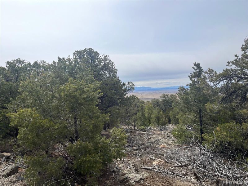00 20th St, Blanca, CO 81123