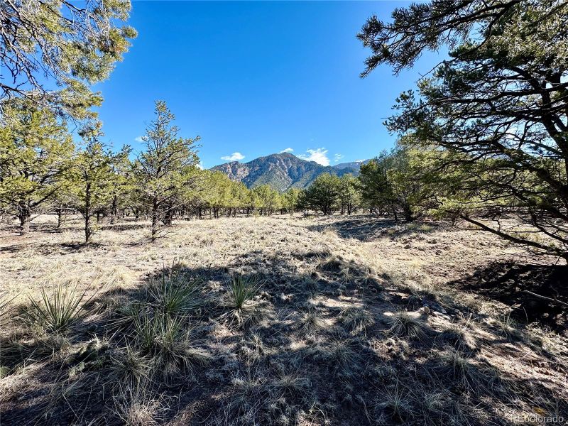 1-9 Cre Blk 61, Crestone, CO 81131