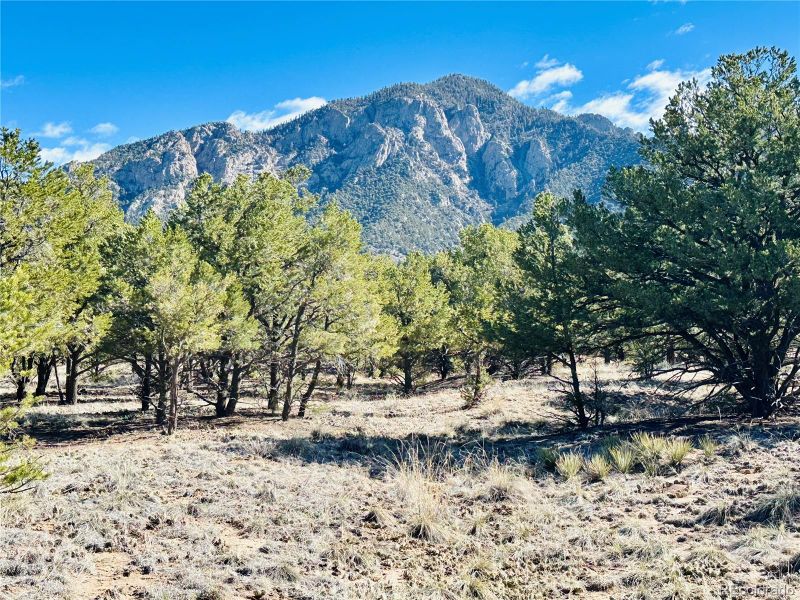 1-9 Cre Blk 61, Crestone, CO 81131