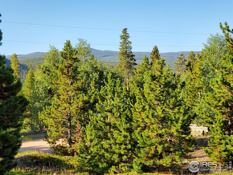 674 Manso Way, Red Feather Lakes, CO 80545
