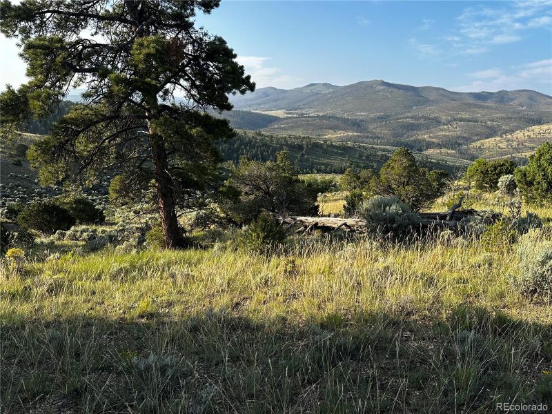 280 Borman Dr Lot 280, Fort Garland, CO 81133