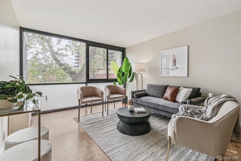1050 N Corona St #214, Denver, CO 80218