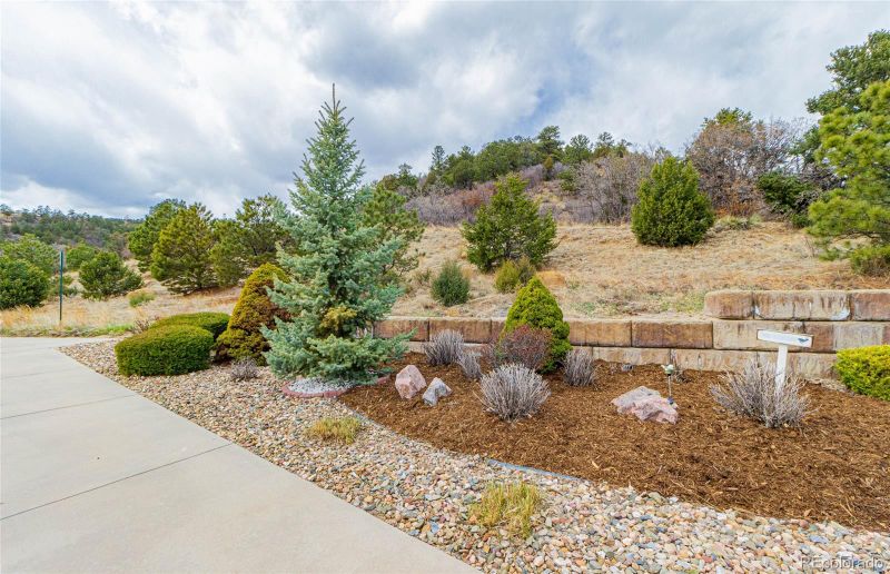 4441 University Oaks Pl, Colorado Springs, CO 80918