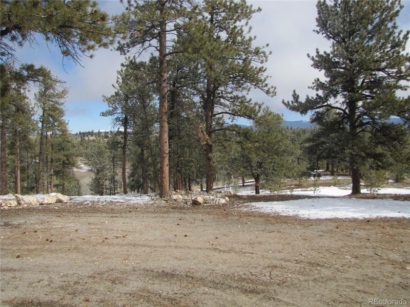 23 Wind Cave Ct, Hartsel, CO 80449